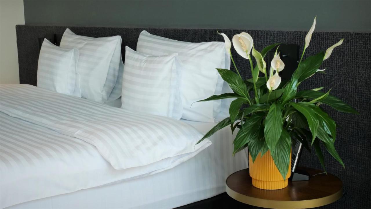 Werk Hotel & Spa Хунедоара Екстериор снимка